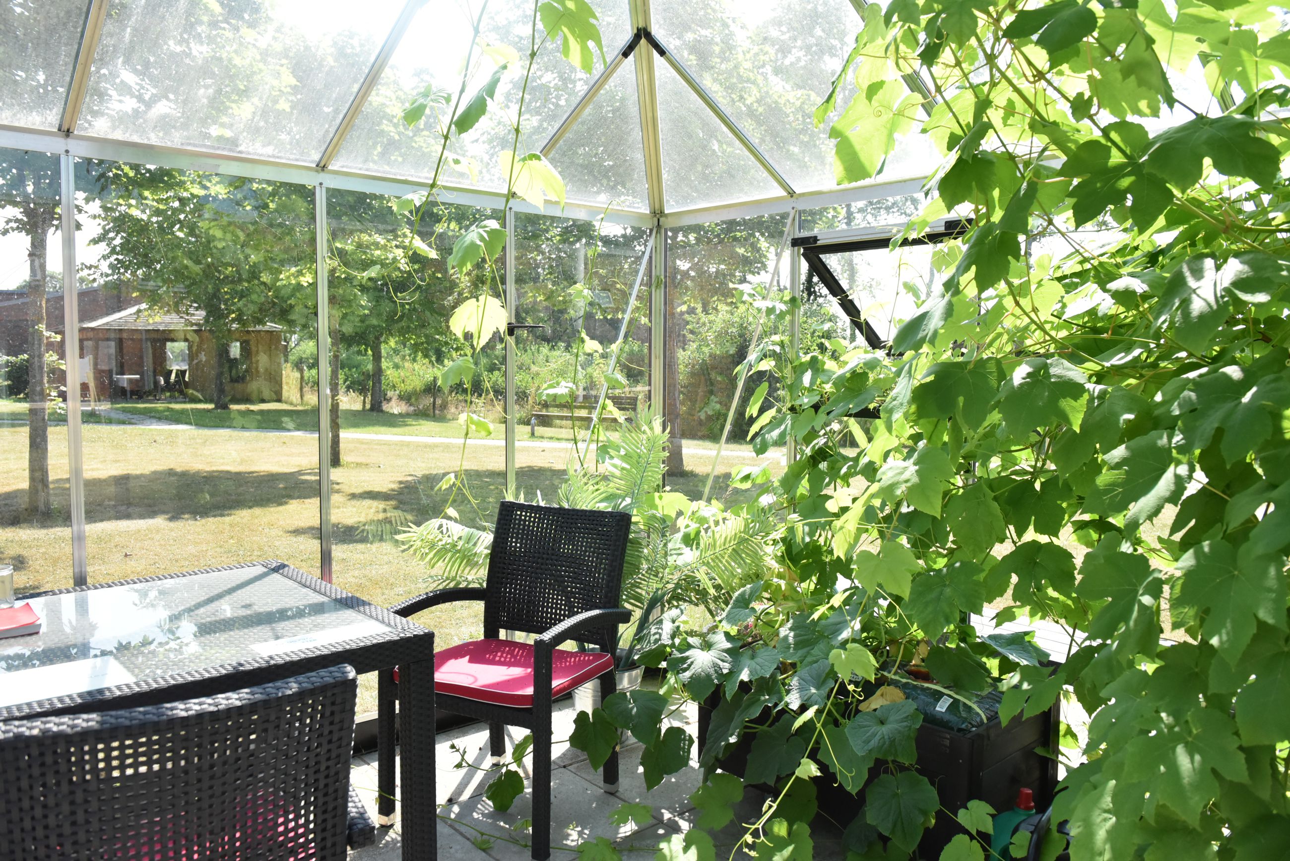 Drivhus i Svaleparken