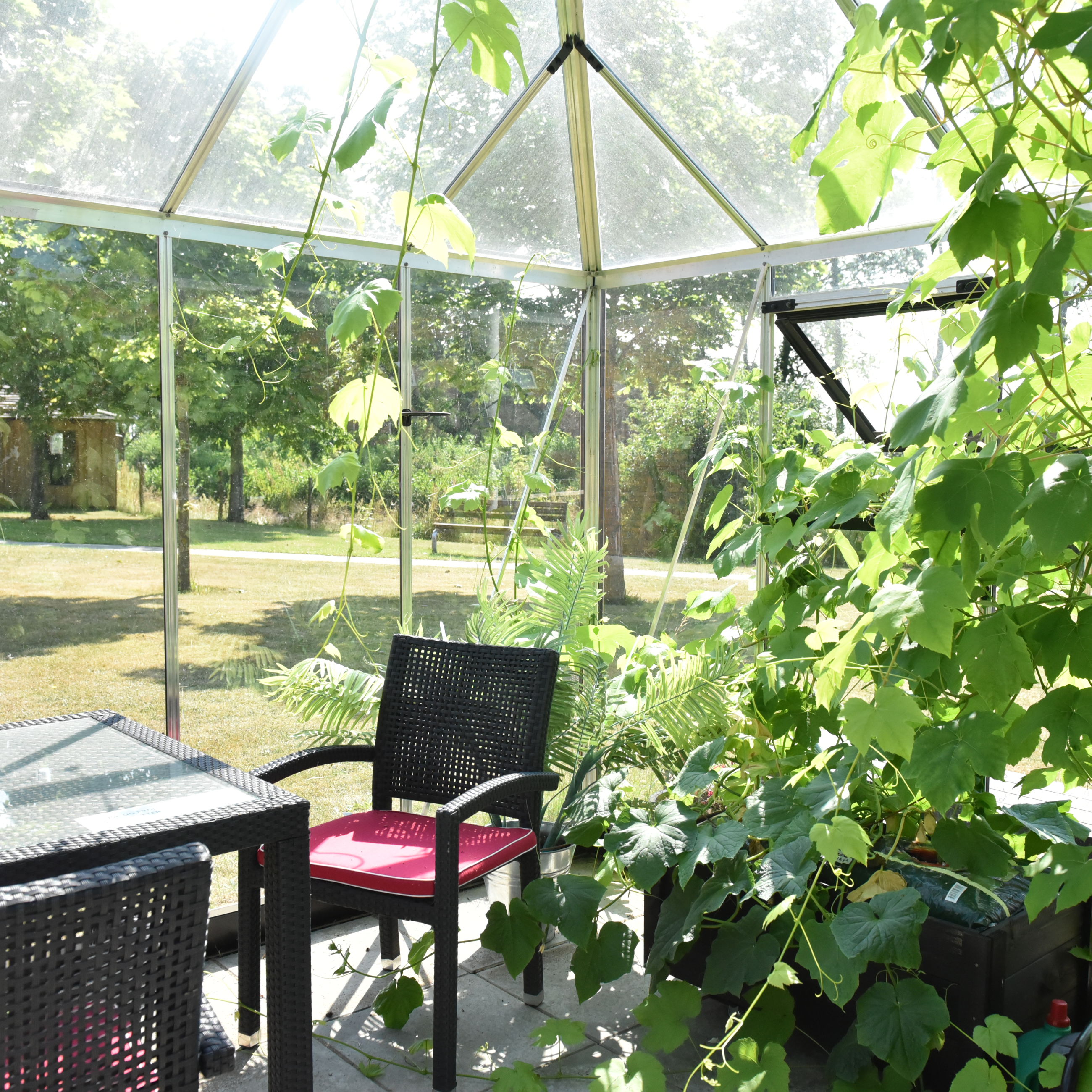 Drivhus i Svaleparken