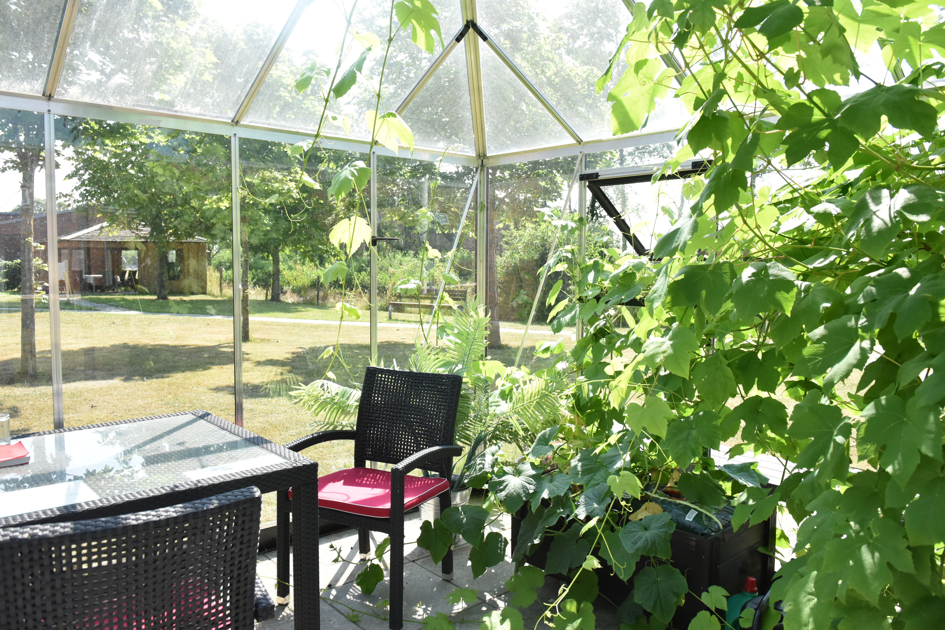 Drivhus i Svaleparken