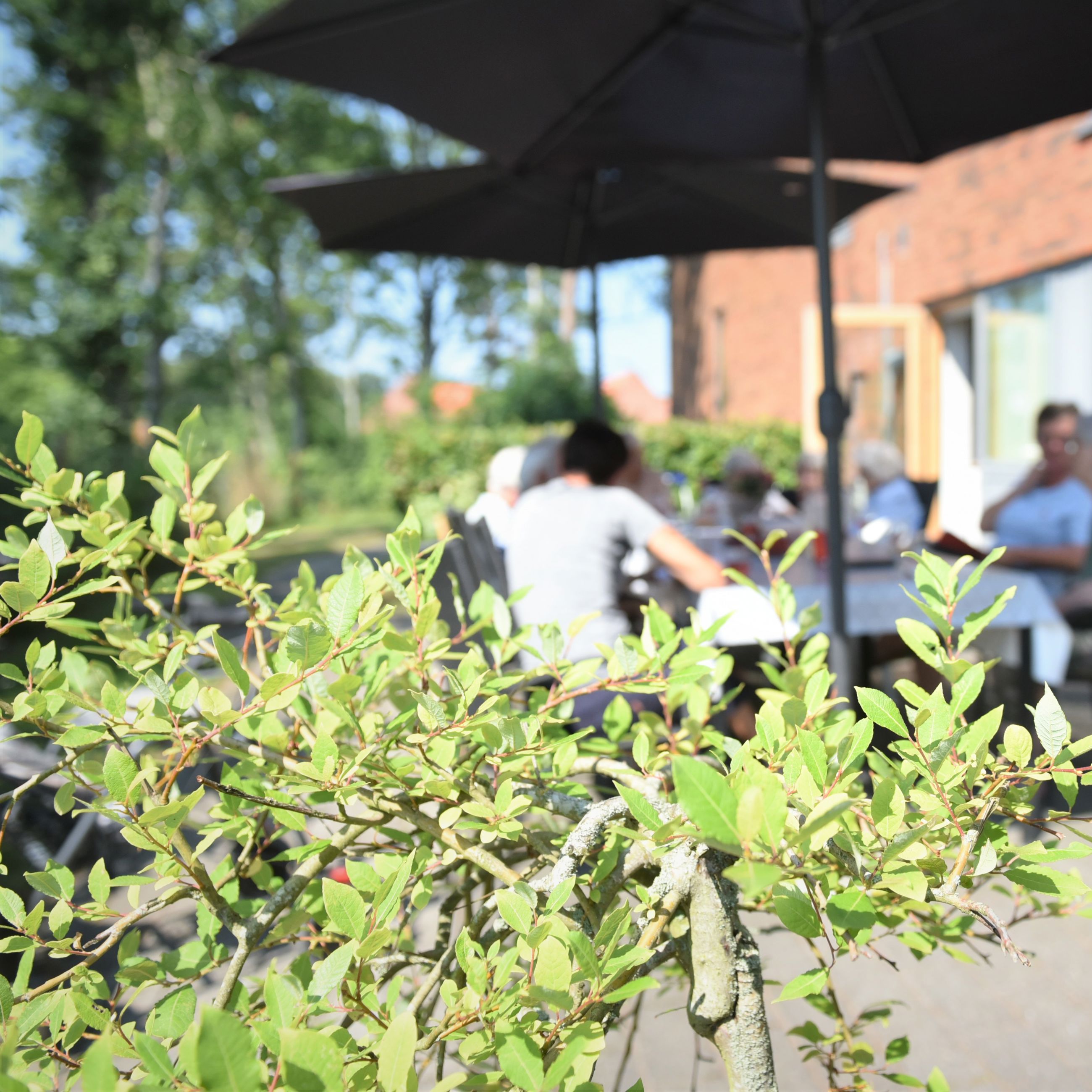 Udeområde i Svaleparken