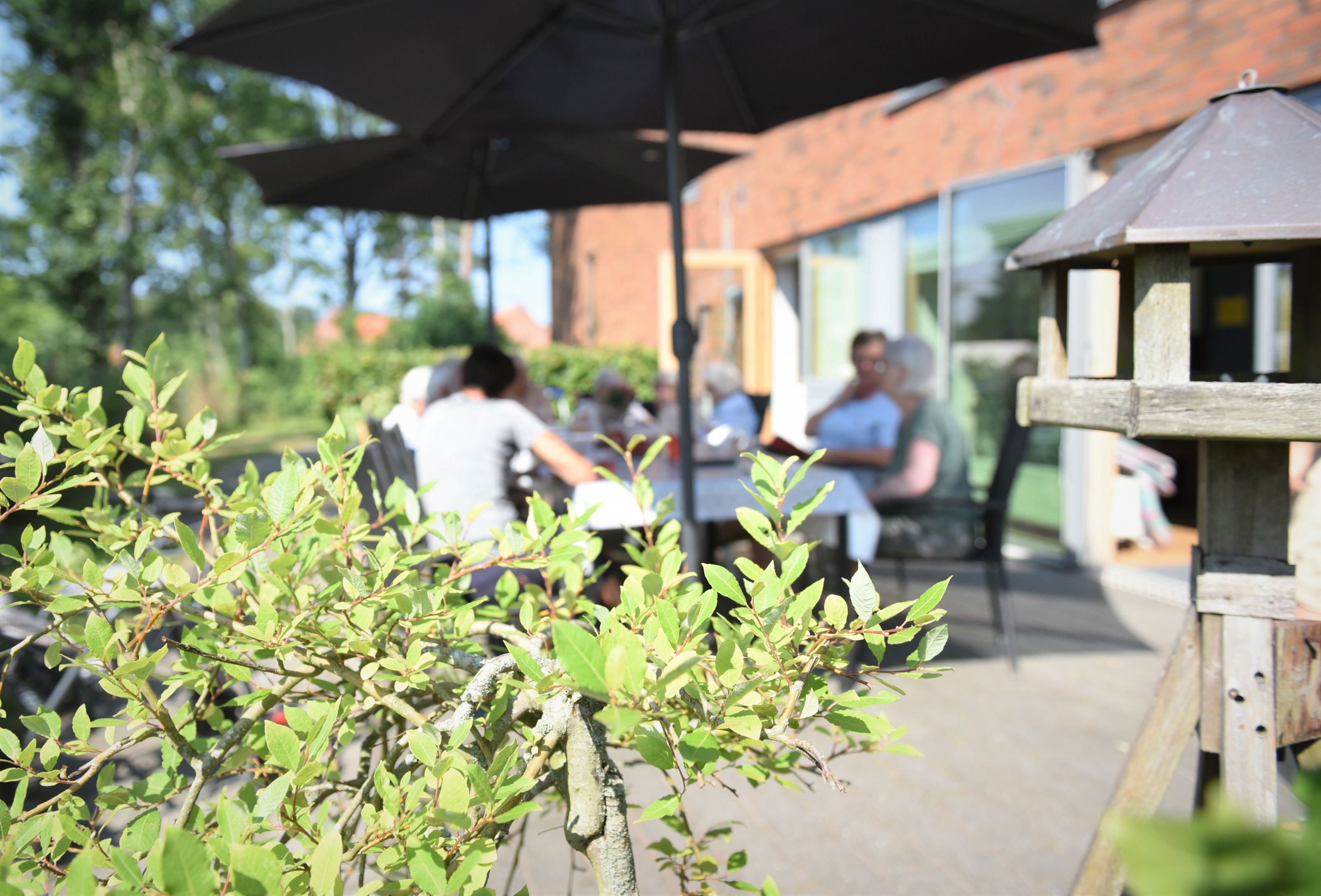 Udeområde i Svaleparken