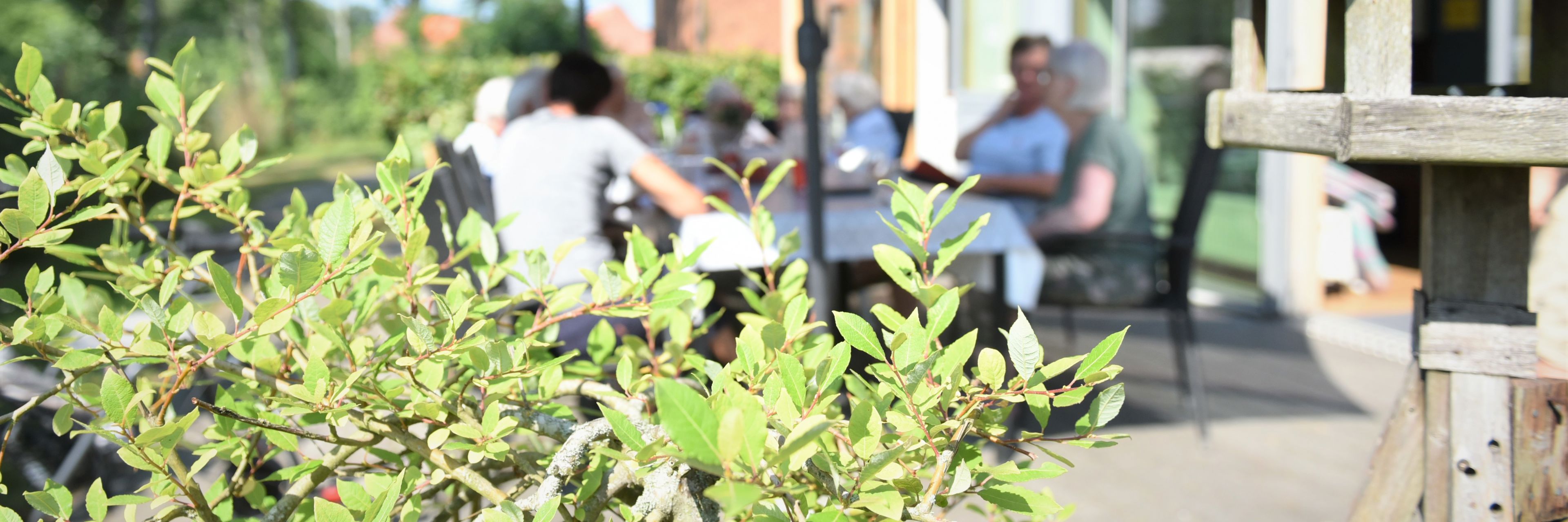 Udeområde i Svaleparken